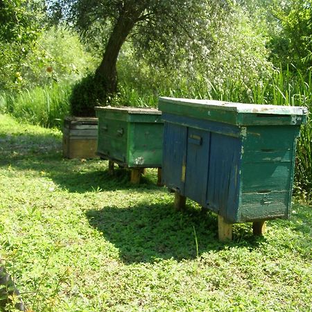 Pelican City Вилково Экстерьер фото