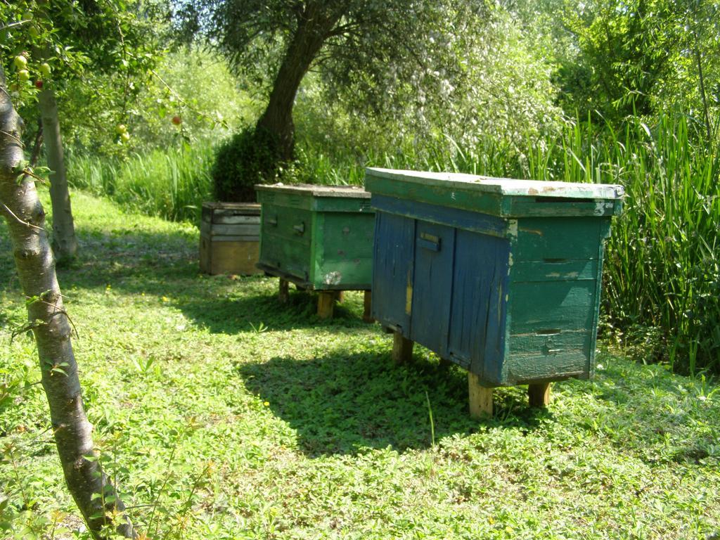 Pelican City Вилково Экстерьер фото
