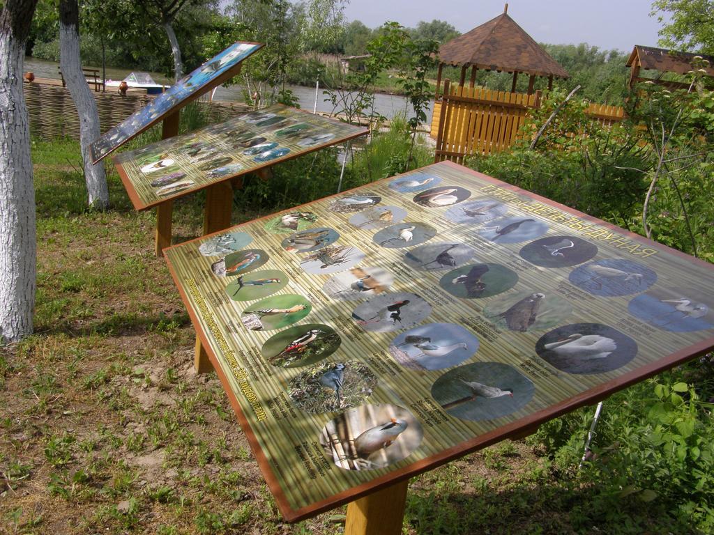 Pelican City Вилково Экстерьер фото